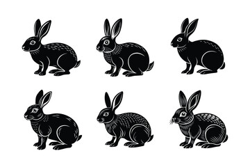 set of rabbits