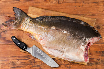 Big cleaned carp without head and knife on cutting board © An-T