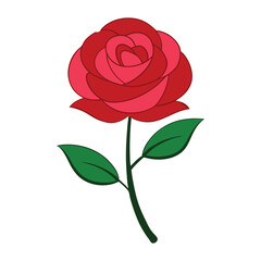rose with leafs  vector illustration