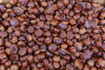 Raw sweet chestnuts in container at fruit-vegetable market