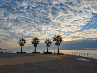 Seafront with palms against the sky in overcast morning