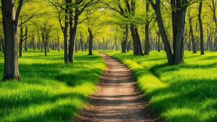 Obraz premium Scenic forest path surrounded by vibrant green trees and lush grass, evoking tranquility and a connection to nature
