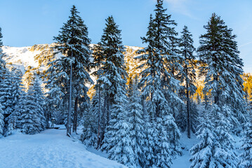 Obraz premium Zima w górach