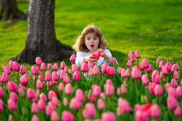 Kid in spring tulips blossom park. Happy childhood. Spring holidays. Adorable kid smelling tulips in spring garden. Cute little kid boy in a blossom flowering nature. Portrait of kid in spring garden.