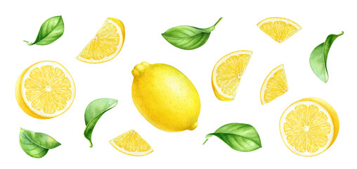 Decorative design with watercolor hand drawn lemons, lemon fruit parts, slices and green leaves