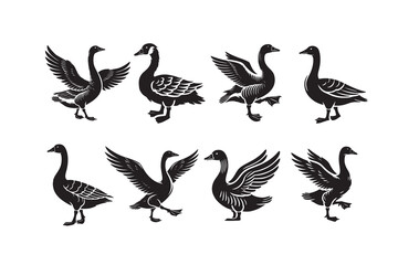 Goose silhouette vector illustration with a white background