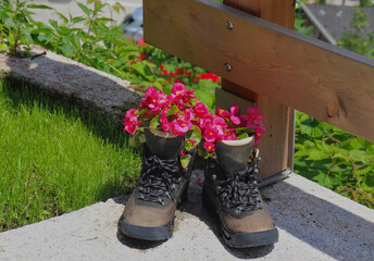 Bergschuhe mit Blumen bepflanzt