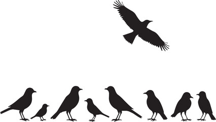 Obraz premium Vector silhouette of Birds