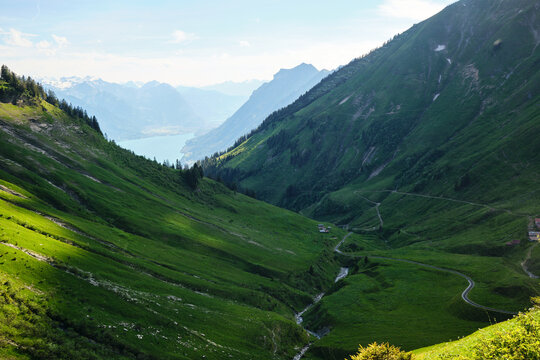Lush green valleys and steep mountains surround Brienz, Switzerland. A winding path leads to charming chalets, with a serene lake visible in the distance.