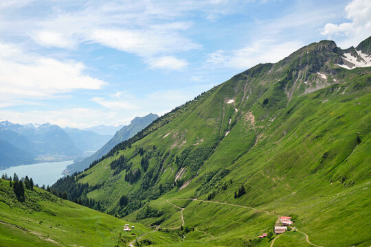 Stunning Swiss landscape showcasing lush green hills in Brienz, with winding paths leading to charming houses and a serene lake view in the distance.