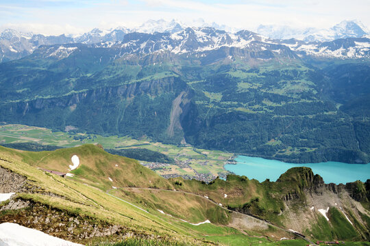 Breathtaking view of the Swiss Alps surrounding Lake Brienz, featuring lush green hills and snow-capped peaks under a clear sky.