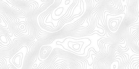 Topography and geography map grid abstract backdrop, Modern design with White background.