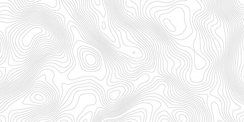 Topography and geography map grid abstract backdrop, Modern design with White background.
