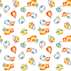 Pumpkins. Watercolor drawing of bright pumpkins. Seamless pattern with vegetables on a white background. Botanical illustration for your design