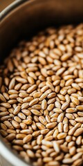 Obraz premium Close-up of wheat grains in a metal container, showcasing natural texture and color.