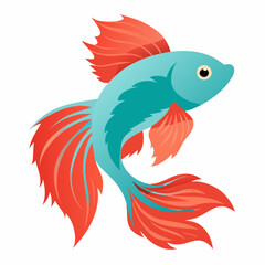 Betta fish shilhotee vector with white background