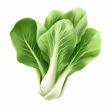 Realistic fresh bok choy isolated on transparent background Generative Ai.