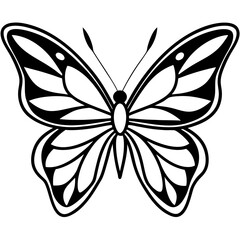 A butterfly with symmetrical, detailed wings on white background