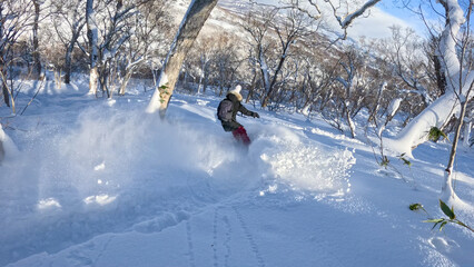 Effortless riding of a female snowboarder in pink pants through deep, untouched powder. Clouds of fresh snow spray behind as she enjoys carving among white snowy trees in pristine backcountry area.