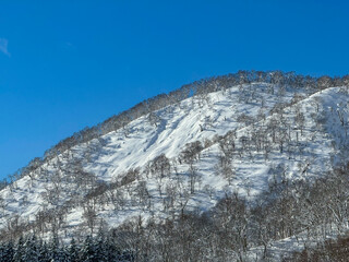 Forested mountain ridges blanketed in freshly fallen snow under a vibrant blue sky. Amazing...