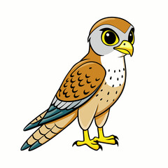 American Kestrel bird on a branch