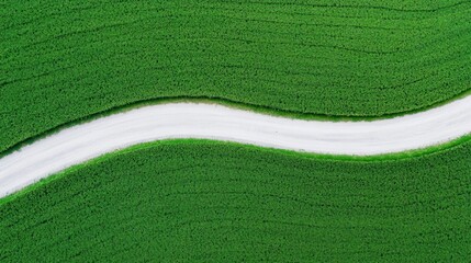 Green Fields with Winding Dirt Road Under Bright Sky View