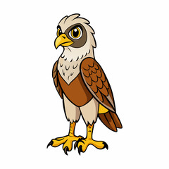 eagle on a white background