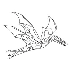 Pteranodon line art vector drawing © firoz