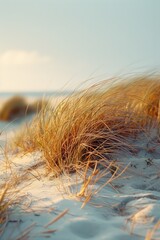 Golden grasses swaying on beach, with sandy shore and blue sky in the distance.