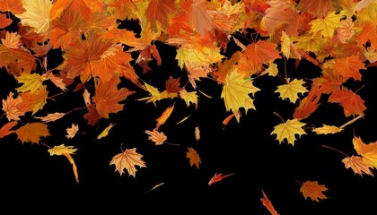 Fototapeta premium autumn leaves background
