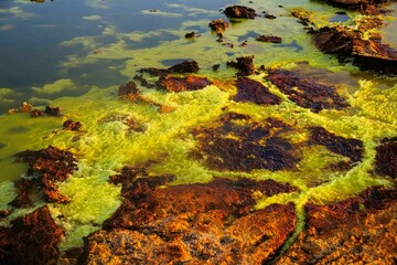 Volcanic activity and Sulphur lake at Dallol in the Ethiopia Danakil depression