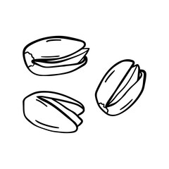 Pistachio vector icon in doodle style. Symbol in simple design. Cartoon object hand drawn isolated on white background.