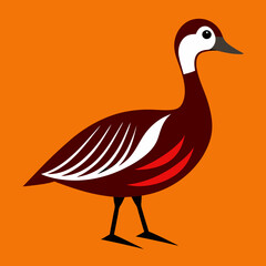 illustration of a beautiful bird