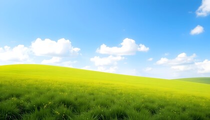 Fototapeta premium green grassland landscape isolated on white or transparent