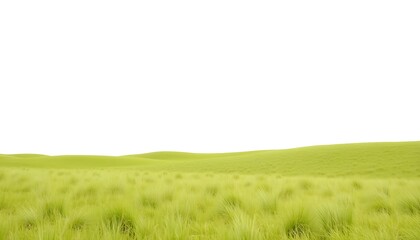 Naklejka premium green grassland landscape isolated on white or transparent