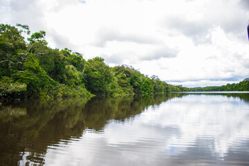 Fototapeta premium PHOTOS OF THE NANAY RIVER IN THE PERUVIAN AMAZON, BLACK WATER RIVER OR IGAPO IN THE FLOODABLE FORESTS NEAR THE ALLPAHUAYO MISHANA NATIONAL RESERVE
