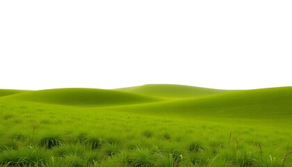 Obraz premium green grassland landscape isolated on white or transparent