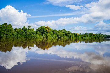 Obraz premium PHOTOS OF THE NANAY RIVER IN THE PERUVIAN AMAZON, BLACK WATER RIVER OR IGAPO IN THE FLOODABLE FORESTS NEAR THE ALLPAHUAYO MISHANA NATIONAL RESERVE