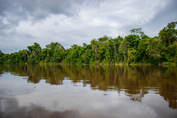 PHOTOS OF THE NANAY RIVER IN THE PERUVIAN AMAZON, BLACK WATER RIVER OR IGAPO IN THE FLOODABLE FORESTS NEAR THE ALLPAHUAYO MISHANA NATIONAL RESERVE