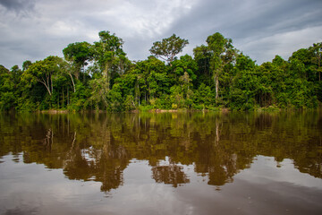 Fototapeta premium PHOTOS OF THE NANAY RIVER IN THE PERUVIAN AMAZON, BLACK WATER RIVER OR IGAPO IN THE FLOODABLE FORESTS NEAR THE ALLPAHUAYO MISHANA NATIONAL RESERVE