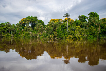 PHOTOS OF THE NANAY RIVER IN THE PERUVIAN AMAZON, BLACK WATER RIVER OR IGAPO IN THE FLOODABLE FORESTS NEAR THE ALLPAHUAYO MISHANA NATIONAL RESERVE