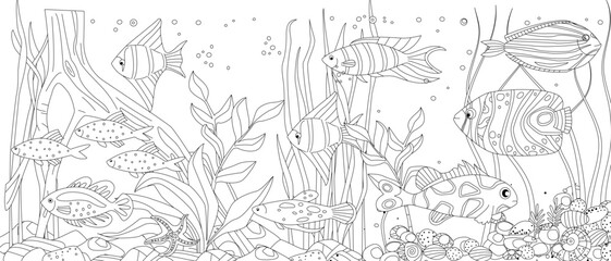 coloring book page for adults and children underwater landscape with seaweeds, fishes, pebbles and driftwood