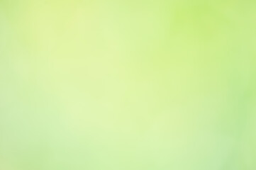Defocused blurred green natural background.