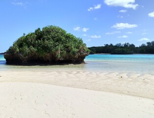 Kabira bay, tropical paradise in Ishigaki island, Okinawa in Japan. Idyllic beach landscape with the sea in sunlight and copy space