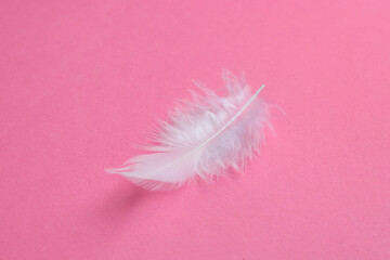 One beautiful fluffy feather on pink background, closeup