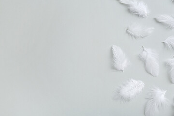 Obraz premium Beautiful fluffy feathers on light grey background, flat lay. Space for text