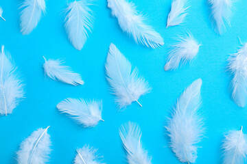 Beautiful fluffy feathers on light blue background, flat lay