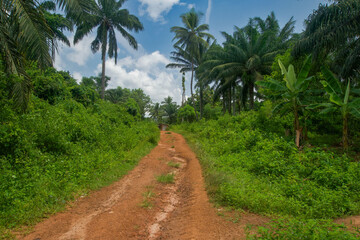 Obraz premium The red African soil, Benin