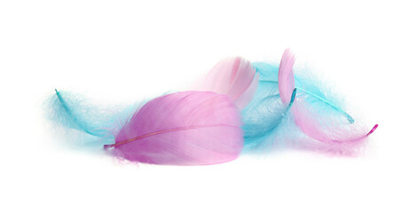 Pile of fluffy light feathers isolated on white