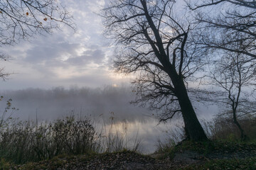 beautiful foggy sunrise in the park